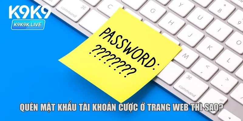 Quên mật khẩu tài khoản cược ở trang web thì sao?